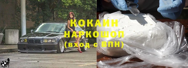мяу мяу мука Новозыбков